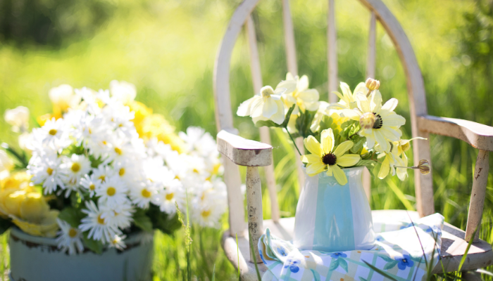 穏やかな雰囲気の庭