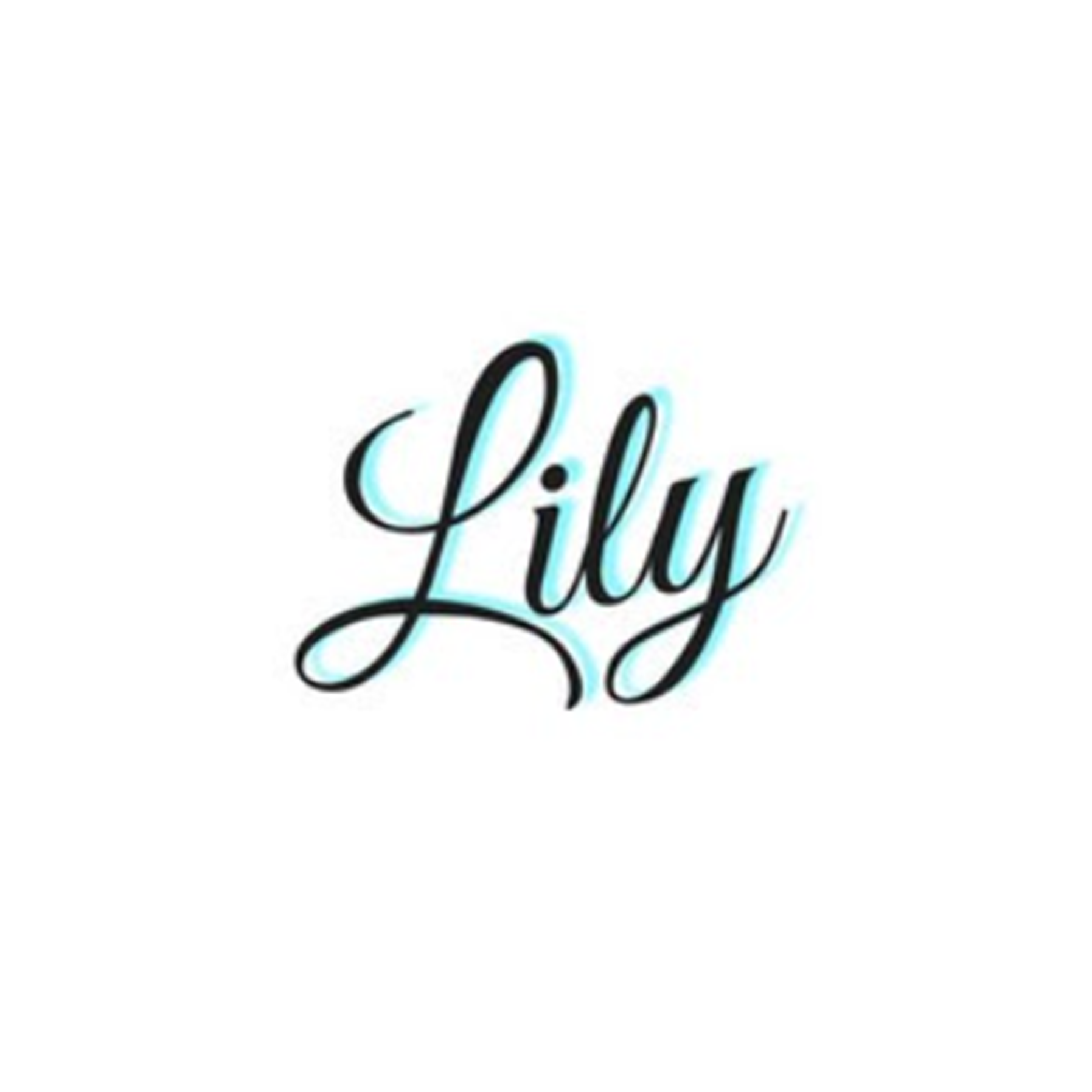 合同会社Lily