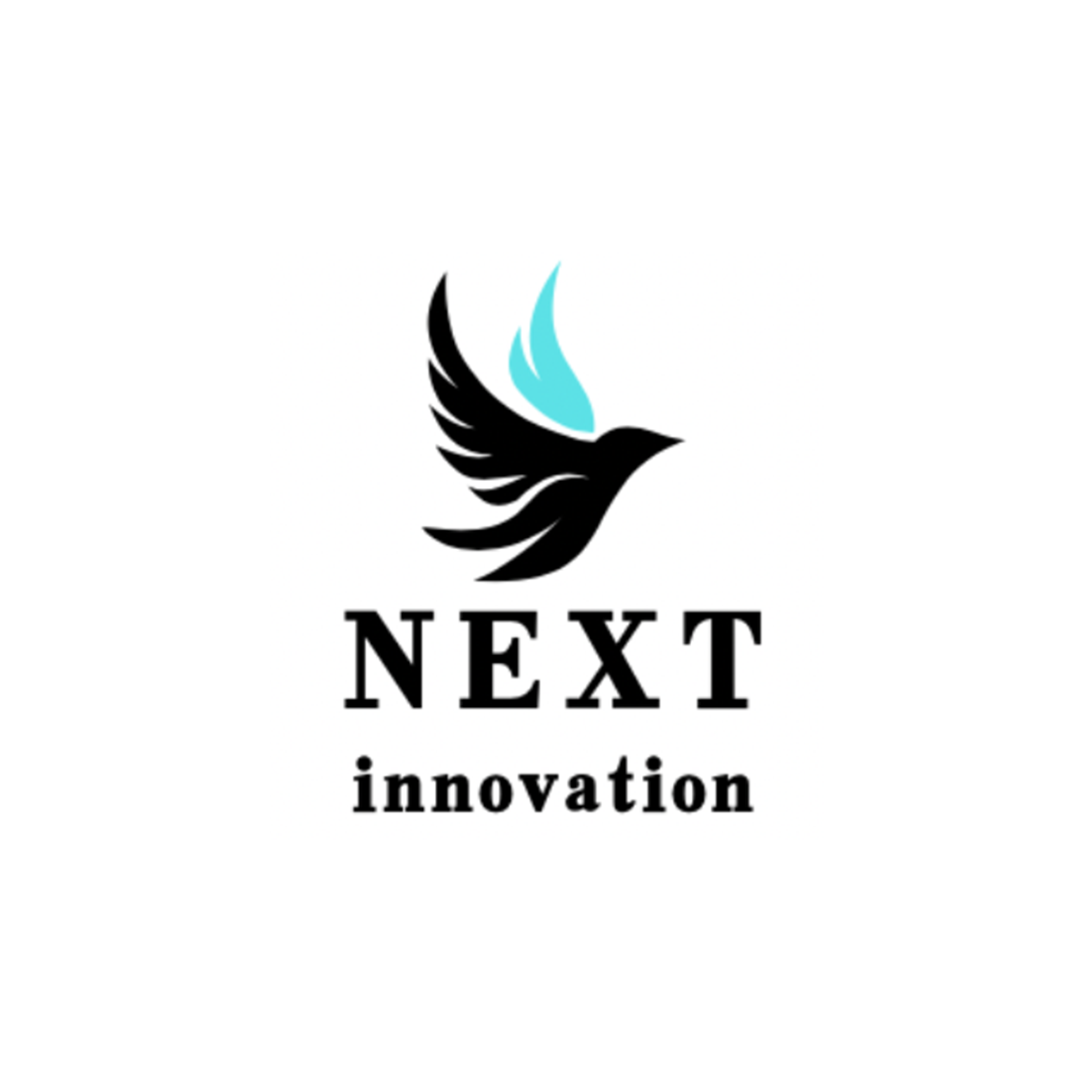 NEXT INNOVATION